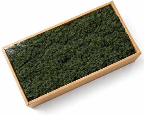 Preserved Reindeer Moss, 17.64oz -Blackish Green by Cigarlemon