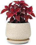 7.5 Inch Ceramic Planter with Saucer,Modern Garden Pots with Drainage Hole Mesh Net, for Indoor Outdoor Use (Silk White) by Unknown