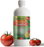 GARDENERA Premium Organic Seaweed & Kelp Superfood for Tomato Plants - 32 oz - Liquid Kelp Fertilizer Concentrate (Makes 180 Gallons) by Gardenera