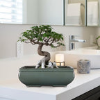 Set of 2 Large Bonsai Pots with with Drainage Hole, 9.8"&7.4" Green Glazed - Image 6