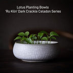 Lotus Bowl Planter 2 Pack, 7.5in & 6.5in, Shallow Vase - Image 5