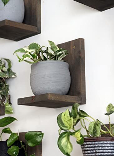 Daniel's Plants 3-Pack Mid-Century Modern L-Shaped Floating Shelves | Solid Wood Plant Wall Shelf Kit | Dusk Grey by DanielsPlants