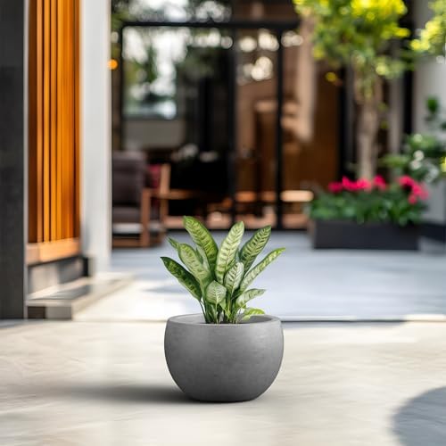 Kante Modern Home Minimalist 20" Dia Pale Gray Concrete Bowl Planter - Image 4