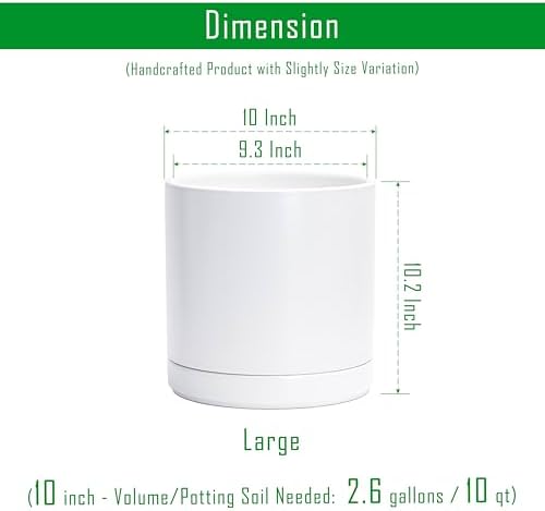 D'vine Dev 2-Pack Ceramic Pots with Saucers, White, 10 in, 94-V-E-1 - Image 3