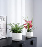 Ceramic Planters,Plant Pots with Saucers Set of 3(Reactive Glaze White) - Image 7