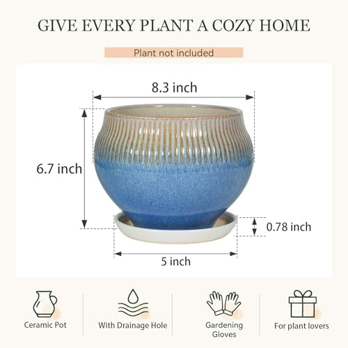 8.3 Inch Modern Ceramic Plant Pot with Drainage Hole and Mesh Net, Indoor Outdoor Planter with Saucer & Gardening Glove, Pots for Succulents, Flowers, Large Plants, Blue - Image 6