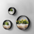 3 Pack Set Wall Planters,Modern Round Glass Wall Planter Succulent Planter Circle Iron Hanging Planter Vase for Herb,Small Cactus Perfect for Balcony, Room and Patio Decor (Black) by VEVLU