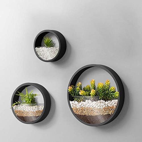 3 Pack Set Wall Planters,Modern Round Glass Wall Planter Succulent Planter Circle Iron Hanging Planter Vase for Herb,Small Cactus Perfect for Balcony, Room and Patio Decor (Black) by VEVLU