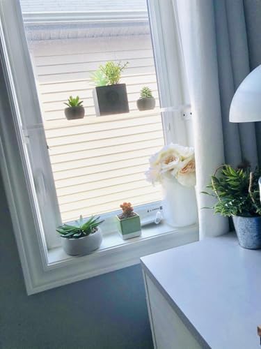 DistinctAndUnique Floating Window Shelf 20", 1 Pack – Crystal Clear Acrylic Floating Shelves for Plants Indoor, Succulent and Trinkets, Acrylic Shelf Display, Window Plant Shelves for Indoor Garden - Image 3