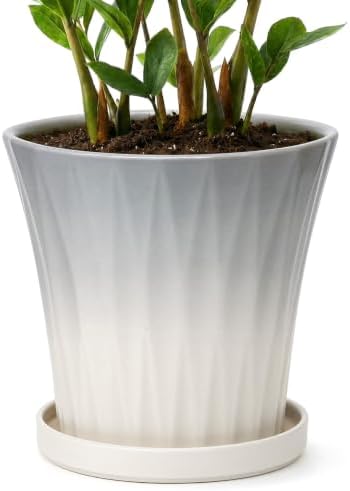 Ceramic Pots for Plants with Saucer(Grey, 10 Inch) by Unknown