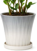 Ceramic Pots for Plants with Saucer(Grey, 10 Inch) by Unknown