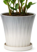 Ceramic Pots for Plants with Saucer(Grey, 10 Inch) by Unknown