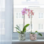 HERDUK Ceramic Orchid Pot, Orchid Pots with Drainage Holes & Saucer 6.5 Inch,Orchid Pot for Repotting Indoor, Orchid Containers with Precise Aeration & Drainage - Image 5