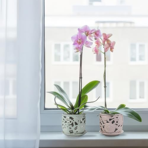 HERDUK Ceramic Orchid Pot, Orchid Pots with Drainage Holes & Saucer 6.5 Inch,Orchid Pot for Repotting Indoor, Orchid Containers with Precise Aeration & Drainage - Image 5