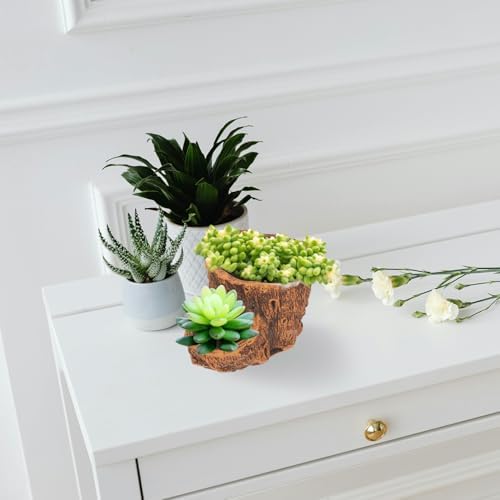 Happyyami Vintage Stump Planter Pot with Cement Finish for Cactus Display - Image 3