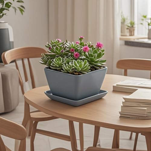 Square Ceramic Plant Saucer Tray 2 Pcs 6 7 8 Inch Grey, 8" OD x6.7 ID x1.2 Deep, Sturdy Heavy Duty Glazed Planter Drip Flower pots with Catch Basin for Indoor Outdoor Plants(8" Grey) - Image 3