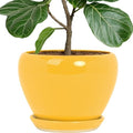 Deep Dream 10 Inch Plant Pot- Ceramic Planter Pot Round Plant Pots for Indoor Plants Outdoor Large Flower Pot with Drainage Holes & Trays, Yellow by DeepDream