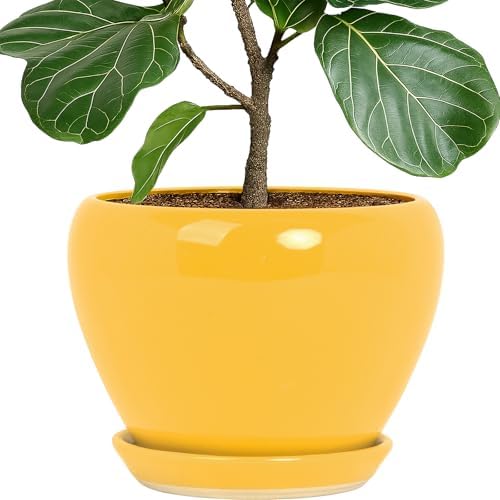 Deep Dream 10 Inch Plant Pot- Ceramic Planter Pot Round Plant Pots for Indoor Plants Outdoor Large Flower Pot with Drainage Holes & Trays, Yellow by DeepDream