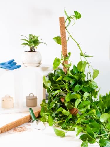 Envelor Coco Moss Poles Plant Support Stakes Coco Plant Stake Pothos Coir Totem Pole Monstera Moss Pole Climbing Plant Support Potted Plant Upward Growth Vine Stackable Coco Sticks, 24 inches, 12 Pack - Image 6