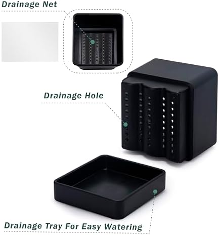 D'vine Dev 3-Pack Plastic Herb Planter Pots, 6 in, Black, 76-Y-B3-2 - Image 5