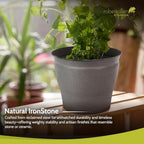 Headwind Natural Ironstone Timberline - 12" Cappuccino Decorative Planter for Outdoor Pots for Plants – Modern Indoor Plant Pots, Large & Small Planters for Indoor Plants by Robert Allen 2-Pack - Image 4