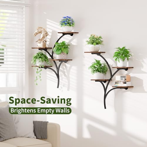 2 Pack Wall Mounted Plant Holder, 8-Tier Wall Planters for Indoor Plants - Image 3
