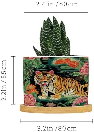 Chinoiserie Tiger Ceramic Planters Green and Turquoise Tiger Stripe Snake Plant Live Indoor with Pot with Drainage Holes and Saucers Pot for Home Office Desk Garden - Image 2