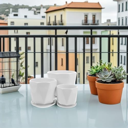 Abaodam Ceramic Succulent Plant Flowerpot Set with Tray Drainage Hole Xmas - Image 6