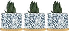 Leopard Dot Ceramic Planter Blue African Tribal Flower Pots for Indoor Plants with Drainage Holes and Saucers Pot for Pots Outdoor Indoor Plants by BRUYU5SE