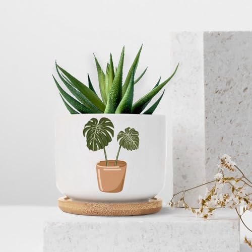 DreamAutumn Pack of 3 Plants Planter Ceramic Round Plant Pots with Drainage Holes and Bamboo Tray Planting Small Flower Pots for Home Windowsill Desk Garden Indoor Outdoor Use - Image 7