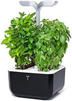 Veritable EXKY Smart Soft Black - Hydroponics Growing System, Indoor Garden w/LED Grow Light, 2 Organic pre-seeded Lingots® Refills Included. Self Irrigation w/Blinking Alert. Made in France by Veritable+