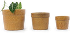 9 Inch Handmade Ceramic Planters Set of 3, 15/12/9 Inch, Antique Yellow - Image 3