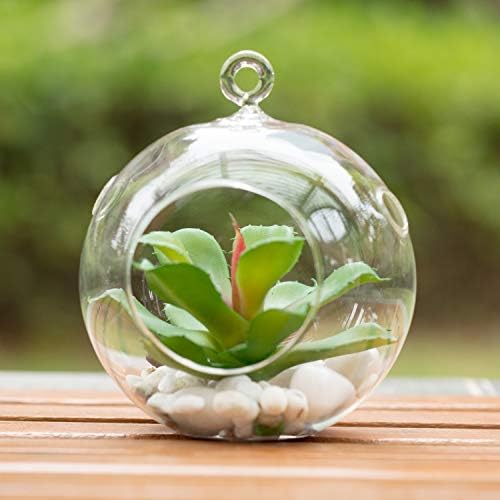 WGVI Glass Hanging Planter Air Fern Terrarium,3 Pack of Plants Hanger Vase for Succulent Moss,Tillandsias and Air Plants, Home Decorations,a Set of Globe,Teardrop,Peach - Image 3