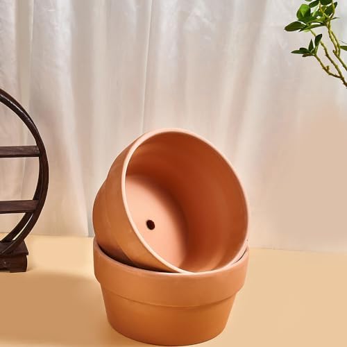 8 Inch Shallow Terracotta Pot for Succulent - 2 Pcs Large Clay Planter Pots with Drainage Hole, Shallow Plant Pottery Pots for Cactus Succulent and Other Indoor Outdoor Plants - Image 7