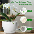 Ceramicfor Ceramic Pot for Plants - 10 Inch Planter with Drainage Hole and Saucer, Glaze Modern Round Flower Pot for Indoor Plants, Housewarming Gift, Home Decor, White - Image 5
