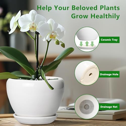 Ceramicfor Ceramic Pot for Plants - 10 Inch Planter with Drainage Hole and Saucer, Glaze Modern Round Flower Pot for Indoor Plants, Housewarming Gift, Home Decor, White - Image 5