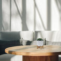 Planter,Stand,White,Ceramic Planter,Drainage Holes,Succulents & Indoor Plants,Modern Design,Versatile Use by Unknown