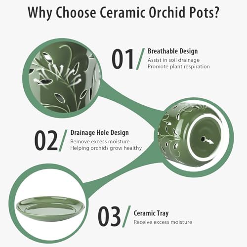 EFISPSS Orchid Pots with Holes, 7 Inch Orchid Pots with Drainage Holes and Tray, Indoor or Outdoor Large Pot for Orchid Care,Durable for Repotting or New Plants - Green - Image 4