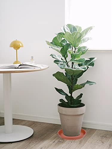 4 Pack of 16 inch Plant Saucer, Heavy Duty Plastic Saucer 16" Round, Plant Trays for Pots, Flower Plant Saucers for Indoors, Plant Trays for Planter 14"/15"/16" (16 inch, Terracotta) - Image 7