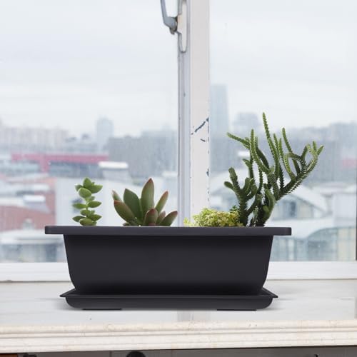 Rectangular Bonsai Planter Set, 3 Plastic Pots with Drainage Tray - Image 6