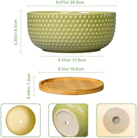 Bonsai Planter - 8 Inch Ceramic Succulent Pots with Drainage Hole and Saucer for Indoor Plants, Boho Shallow Round Planter Bowl, Desk Decor, Garden Lover Gifts, Green - Image 3