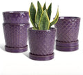 EFISPSS Ceramic Plant Pots, 5 Inch Planters with Drainage Holes and Ceramic Tray, Relief Design Flower Planter, Desktop Office Windowsill Decoration Gift Set of 4 - Purple by EFISPSS