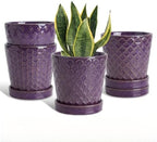 EFISPSS Ceramic Plant Pots, 5 Inch Planters with Drainage Holes and Ceramic Tray, Relief Design Flower Planter, Desktop Office Windowsill Decoration Gift Set of 4 - Purple by EFISPSS