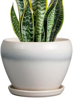 Ceramicfor Ceramic Planter - 8 Inch Plant Pot with Drainage Hole and Saucer, Glaze Round Flower Pot for Home Garden Patio Office, White by Ceramicfor