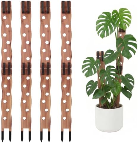 Wooden Extendable Plant Trellis for Potted Plants Indoor, 4 Sets by RAWILL