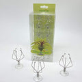 10 Pack Vertical Air Plant Holder (Suction Cup, Stainless Steel Tillandsia Air Plant Planter) A Unique Set of Air Plant Containers for Creating Tillandsia Art Display on Window. - Large by Tillandsiart