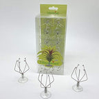 10 Pack Vertical Air Plant Holder (Suction Cup, Stainless Steel Tillandsia Air Plant Planter) A Unique Set of Air Plant Containers for Creating Tillandsia Art Display on Window. - Large by Tillandsiart