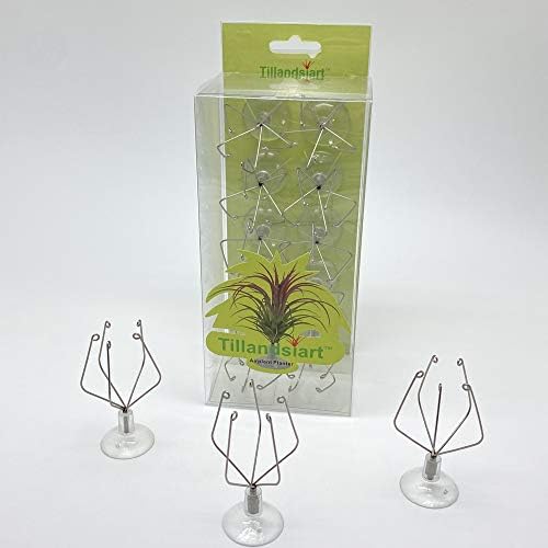 10 Pack Vertical Air Plant Holder (Suction Cup, Stainless Steel Tillandsia Air Plant Planter) A Unique Set of Air Plant Containers for Creating Tillandsia Art Display on Window. - Large by Tillandsiart