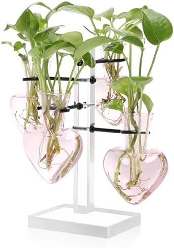 Plants Propagation Stations Plant Terrarium Kit Gift for Women by YYHglass