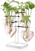 Plants Propagation Stations Plant Terrarium Kit Gift for Women by YYHglass